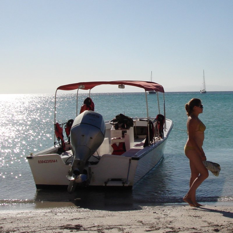 Shelagh 21 Escort in Bay Point